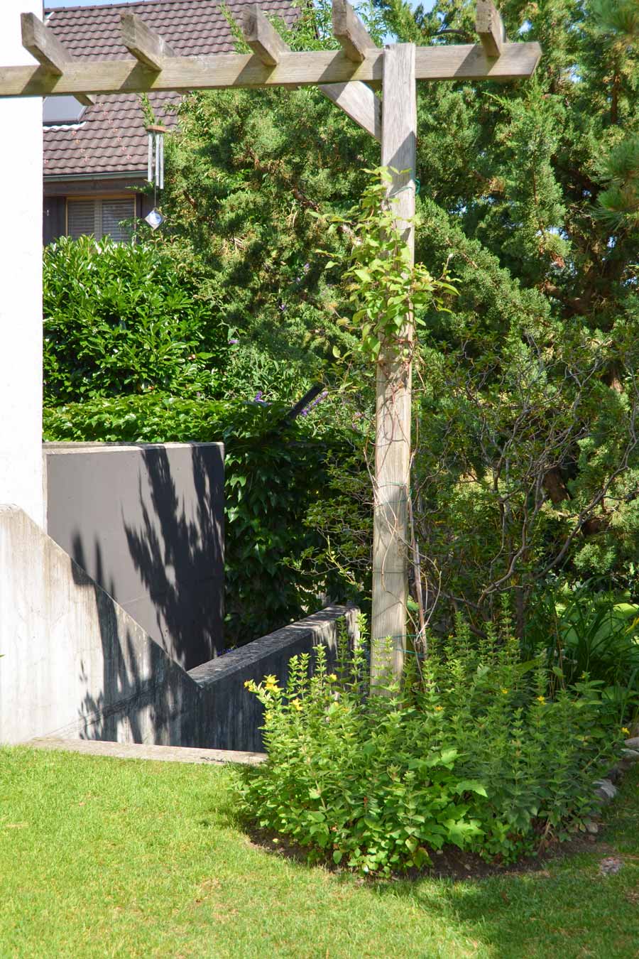 Farbgestaltung im Aussenraum: Das Bild zeigt den Blick vom Gartenbereich zurück zum Garteneingangsbereich mit der umbrafarbigen Wand.
