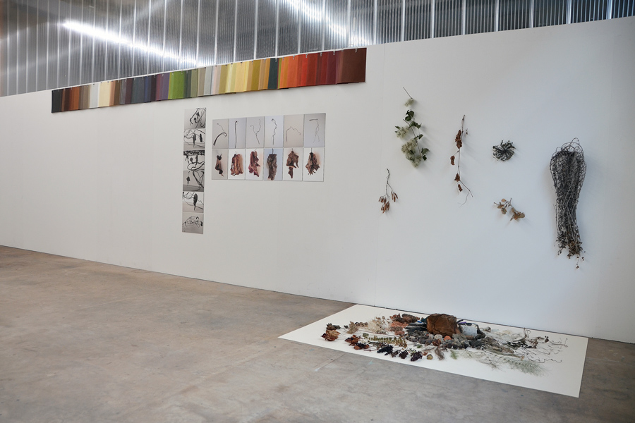 Farbe in der Natur: Das Bild zeigt die Präsentation der Gestaltungsarbeiten aus dem Prozess mit der Farbkollektion, der Fotoserie Figurentanz und der Objekt-Assemblage
