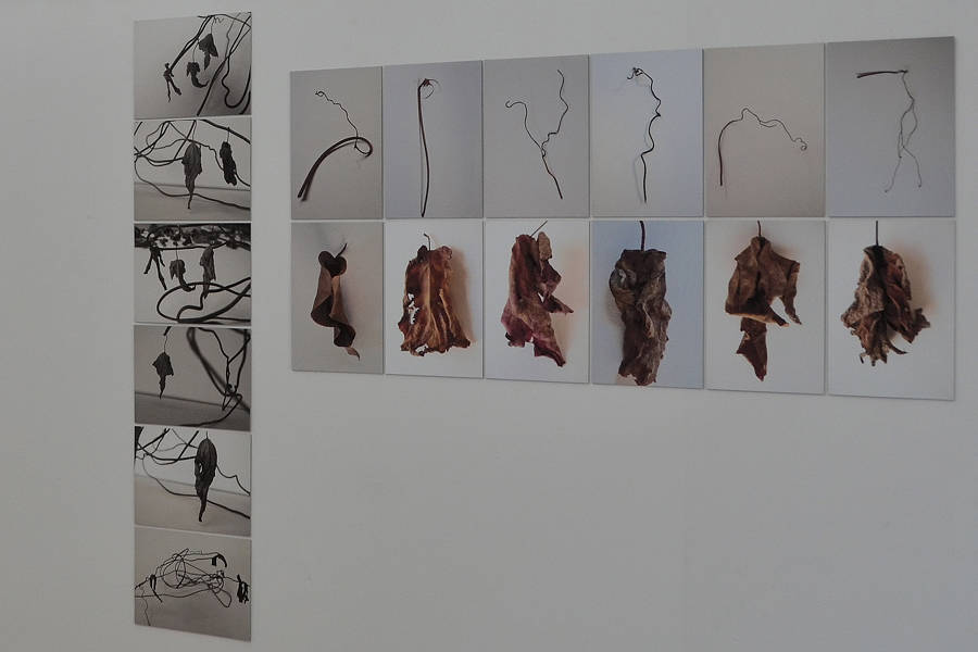 Farbe in der Natur: Das Bild zeigt die Präsentation der Arbeit Figurentanz: Eine Fotoserie mit inszenierten Weinkringeln und trocknenen Blättern, an Kleidungsstücke und Menschengestalten erinnern.