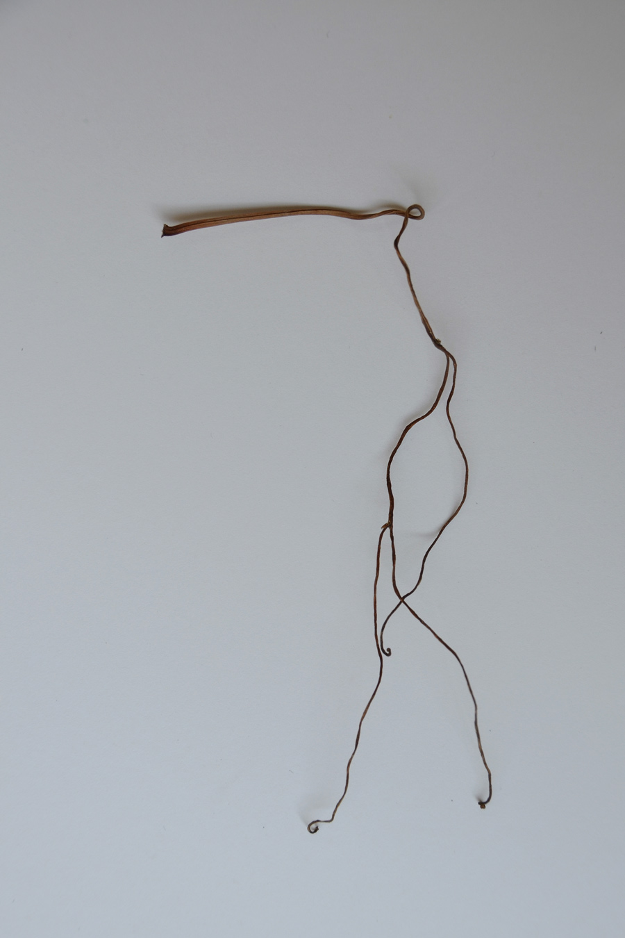 Farbe in der Natur: Das Bild zeigt eine Kringelfigur aus der Fotoserie Figurentanz.