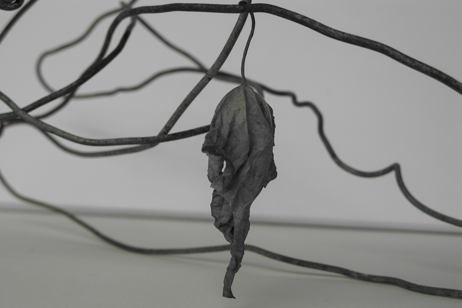 Farbe in der Natur: Das Bild zeigt eine Blattfigur aus der Fotoserie Figurantanz.